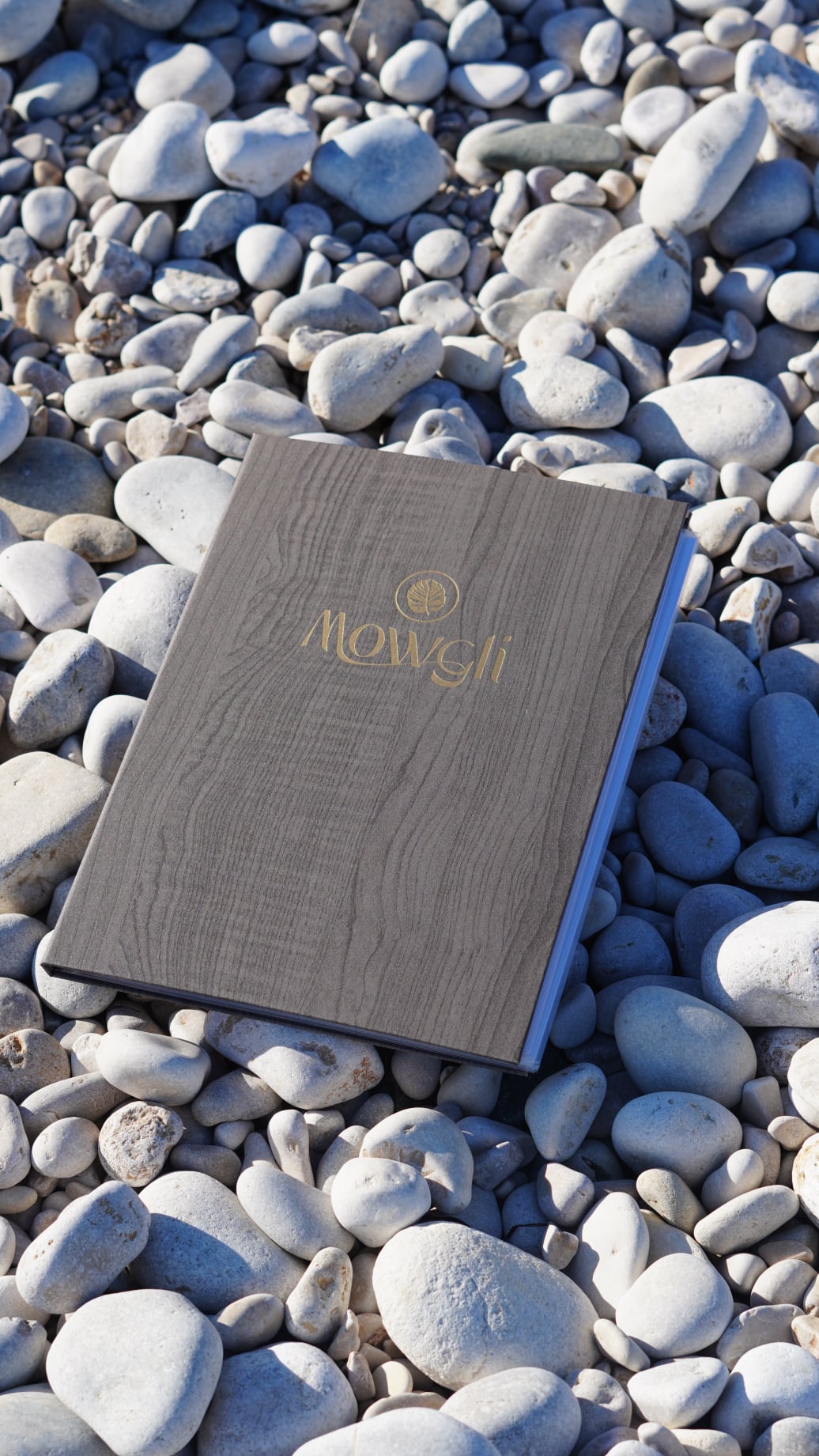 Indian Restaurant Mowgli Menu on the Beach